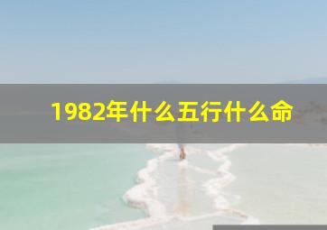 1982年什么五行什么命