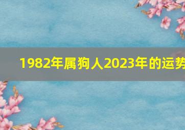 1982年属狗人2023年的运势