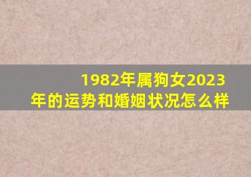 1982年属狗女2023年的运势和婚姻状况怎么样