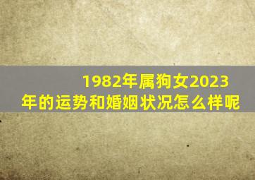 1982年属狗女2023年的运势和婚姻状况怎么样呢