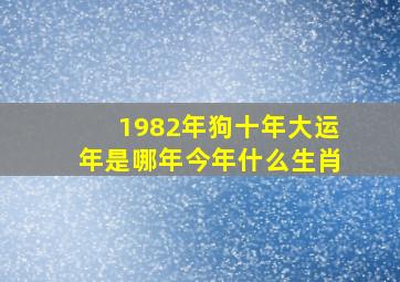 1982年狗十年大运年是哪年今年什么生肖