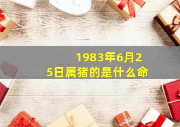 1983年6月25日属猪的是什么命