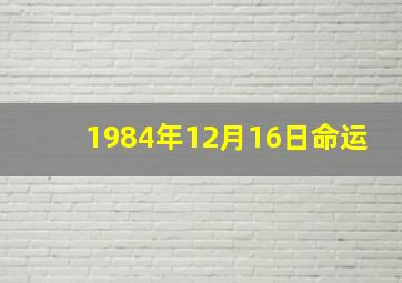 1984年12月16日命运