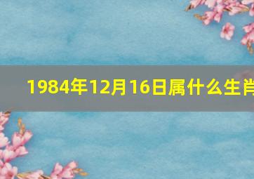 1984年12月16日属什么生肖