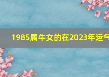 1985属牛女的在2023年运气