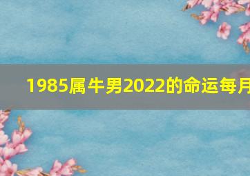 1985属牛男2022的命运每月