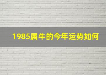 1985属牛的今年运势如何