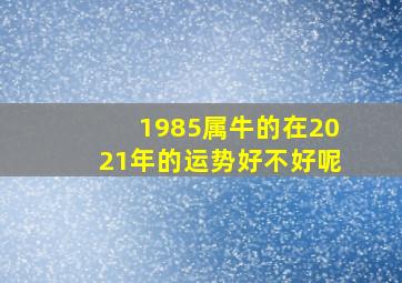 1985属牛的在2021年的运势好不好呢