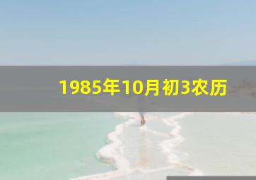 1985年10月初3农历