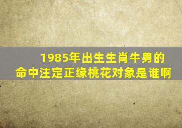 1985年出生生肖牛男的命中注定正缘桃花对象是谁啊