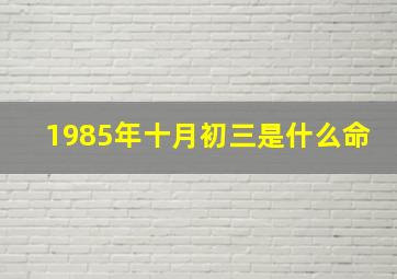 1985年十月初三是什么命