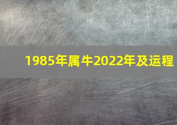 1985年属牛2022年及运程