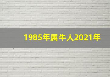 1985年属牛人2021年