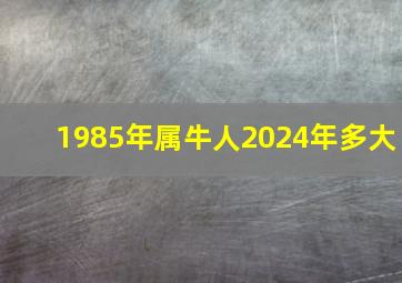 1985年属牛人2024年多大