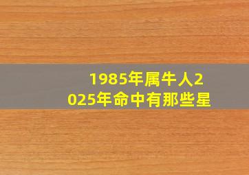 1985年属牛人2025年命中有那些星