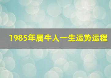 1985年属牛人一生运势运程