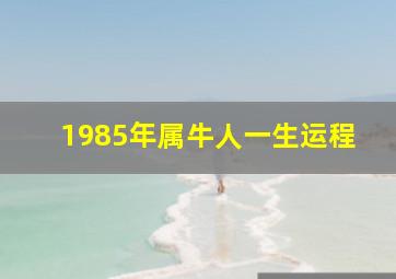 1985年属牛人一生运程