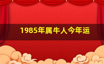 1985年属牛人今年运