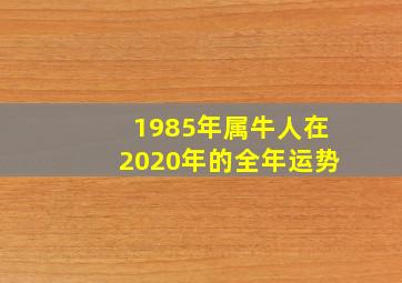 1985年属牛人在2020年的全年运势