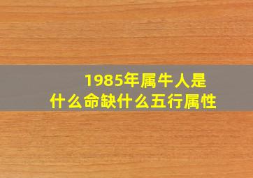 1985年属牛人是什么命缺什么五行属性