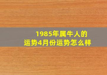 1985年属牛人的运势4月份运势怎么样