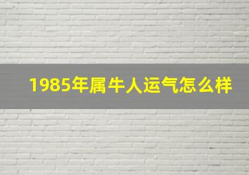 1985年属牛人运气怎么样