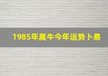 1985年属牛今年运势卜易