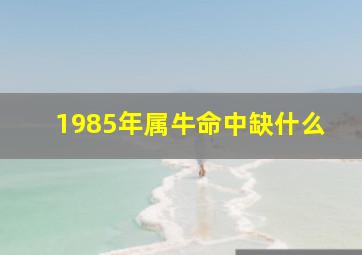 1985年属牛命中缺什么