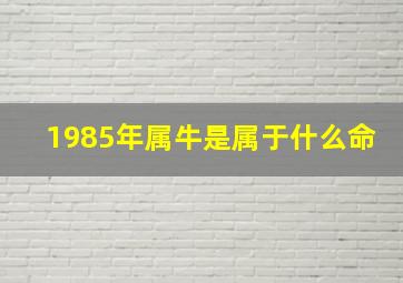 1985年属牛是属于什么命