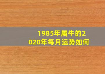 1985年属牛的2020年每月运势如何