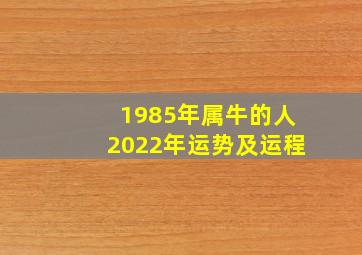 1985年属牛的人2022年运势及运程