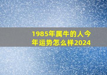 1985年属牛的人今年运势怎么样2024