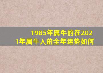 1985年属牛的在2021年属牛人的全年运势如何