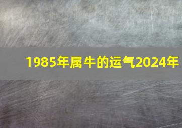 1985年属牛的运气2024年