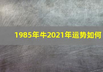 1985年牛2021年运势如何