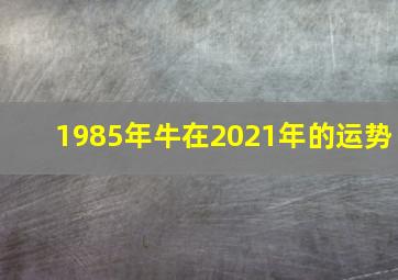 1985年牛在2021年的运势