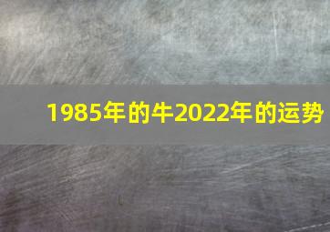 1985年的牛2022年的运势