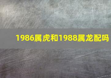 1986属虎和1988属龙配吗