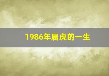 1986年属虎的一生