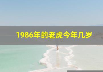 1986年的老虎今年几岁