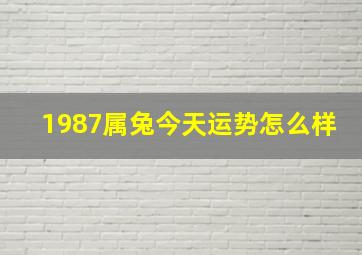 1987属兔今天运势怎么样