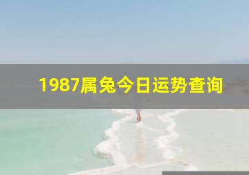 1987属兔今日运势查询