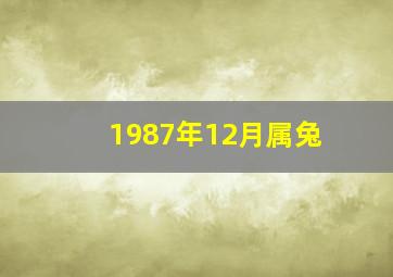 1987年12月属兔