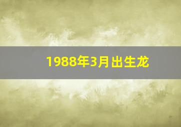 1988年3月出生龙