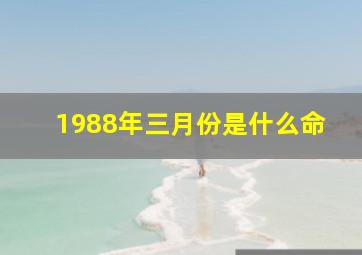 1988年三月份是什么命