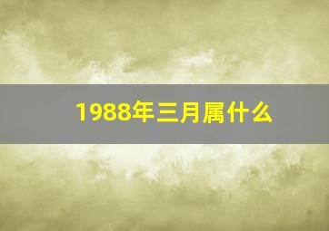 1988年三月属什么