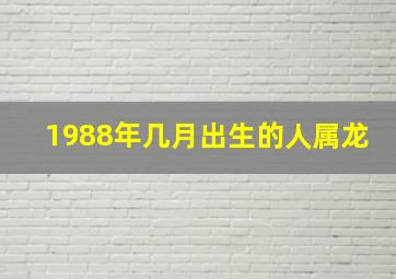 1988年几月出生的人属龙