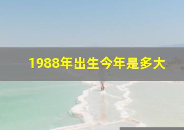 1988年出生今年是多大