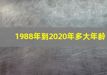 1988年到2020年多大年龄