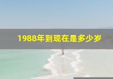 1988年到现在是多少岁